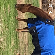 Profile Picture of Liam Thompson (@LiamThompson-h7d) on Youtube