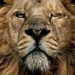 Profile Picture of JEMMY (@jcastrocavieres) on Instagram