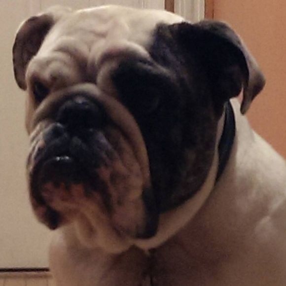 Profile Picture of Jacqueline Andrews (@jacqueline45s) on Poshmark