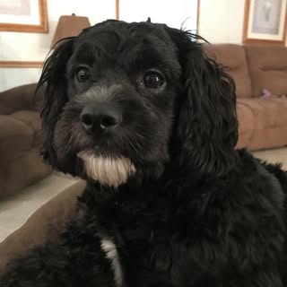 Profile Picture of Kenneth Kuhlman (@kuhlmankenneth) on Instagram