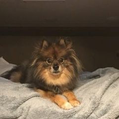 Profile Picture of claudettetessman (@claudettetessman) on Tiktok