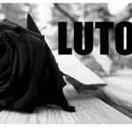 Profile Picture of Aber Teixeira (@aber5406) on Instagram