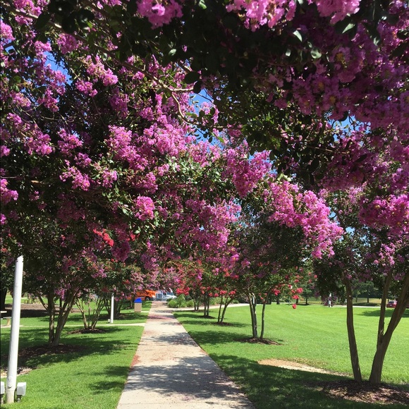 Profile Picture of Colleen Binns (@binns94) on Poshmark