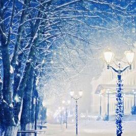 Profile Picture of Melissa Jung (@jiyoon1086) on Twitter