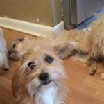 Profile Picture of Edith Cox (@coxedith) on Instagram