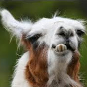 Profile Picture of Nicholas Neville (@nicholasneville5737) on Youtube