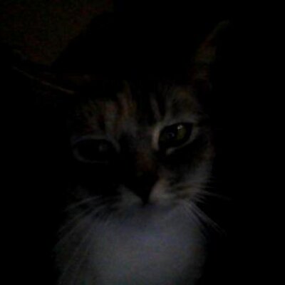 Profile Picture of Britney Franks (@Saphirie123) on Twitter