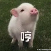 Profile Picture of Xu Luo (@xuluo4550) on Youtube