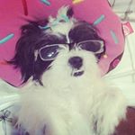 Profile Picture of Gordon (@siwmairnlaopldzdrrt) on Instagram