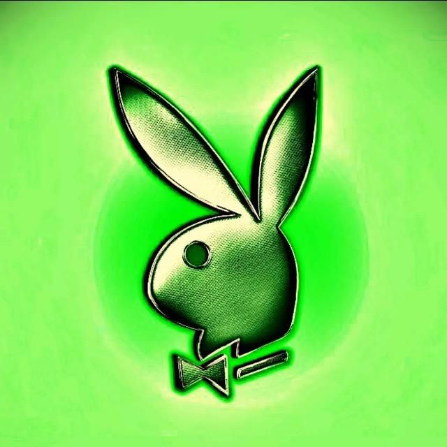 Profile Picture of Jeffrey (@green.rabbitt1) on Tiktok