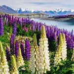 Profile Picture of Ana Paula Relvas (@anapaula.relvas.58) on Instagram