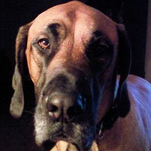 Profile Picture of Ann Glaze (@401739298) on Myspace