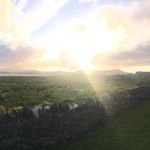 Pamela Boyle - Instagram Profile Picture of Pamela Boyle (@theo827th) on Instagram