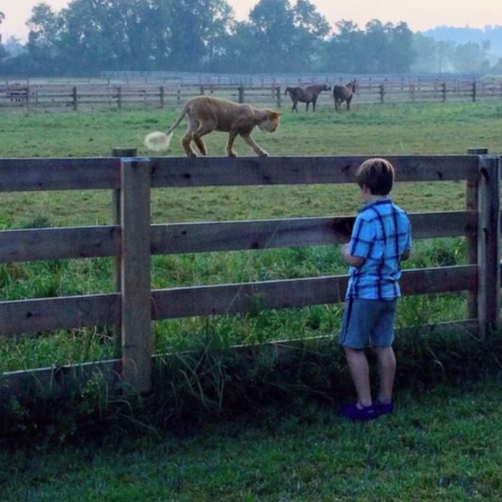 Profile Picture of James (@jamesdavis___) on Tiktok