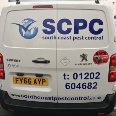 Profile Photo of South Coast Pest Control (@FrankHayes67) on Twitter