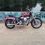 Gary Shelly - Instagram Profile Picture of Gary Shelly (@kapton_krunch) on Instagram