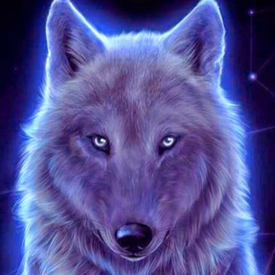 Profile Picture of Marcel Pelletier (@felbest) on Twitter