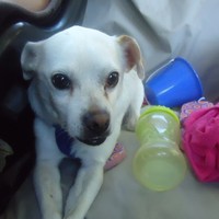 Profile Picture of Mark Greiser (@mark-greiser) on Quora