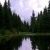 Profile Picture of Chris Bilyeu (@wheatstalk) on Pinterest