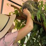 Profile Picture of Carly-marie Wilmot (@knitknacksbycarly) on Instagram