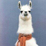Profile Picture of Amanda Antorino (@damian_strange) on Instagram