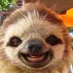 David Gromi Groman - Instagram Profile Picture of David Gromi Groman (@gromicz) on Instagram