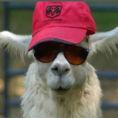 Profile Picture of Alyson James (@AlysonJ34889915) on Twitter