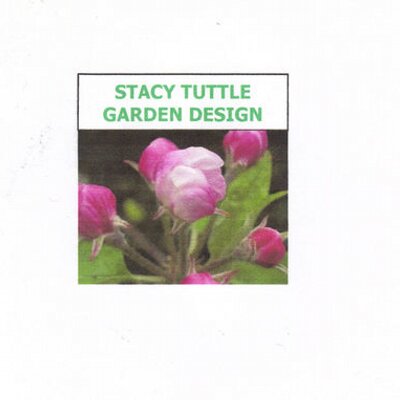 Profile Picture of Stacy Tuttle (@stacytuttle) on Twitter