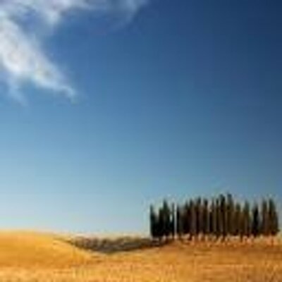 Profile Picture of Mandy Wittman (@MandyWittman1) on Twitter