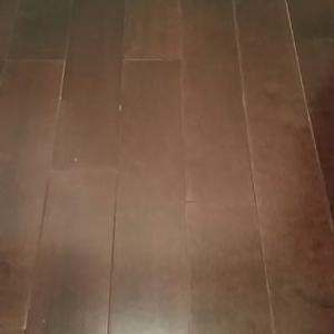 Profile Picture of Shawn Bachman (@ShawnBachman) on Twitter