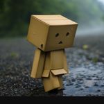 Profile Picture of shellykatey (@shellykatey) on Instagram