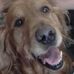 Profile Picture of Lori Betts (@lori.betts.5) on Facebook