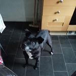 Profile Picture of Collette Roberts (@collette.roberts.969) on Instagram