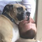 Profile Picture of Zach Snead (@zach.snead.7) on Instagram