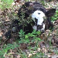 Profile Picture of Charles Krift (@charles-krift) on Quora