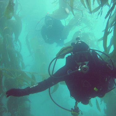 Profile Picture of Randy Wire (@wireyone1) on Twitter