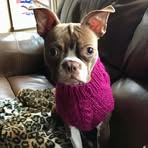 Profile Picture of Joann Frankenberger (@joann.frankenberger) on Facebook