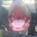 Profile Picture of Randy Sigler (@randy.sigler.10) on Facebook