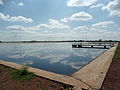 Profile Picture of Facultative lagoonon Wikipedia