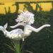 Profile Picture of Dawna Decker (@ddec820) on Pinterest