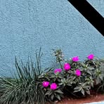 Profile Picture of Aweke Eliyas (@Aweke-Eliyas) on Facebook