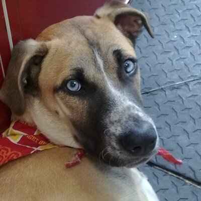 Profile Picture of Christopher Ono (@chrisono31) on Twitter