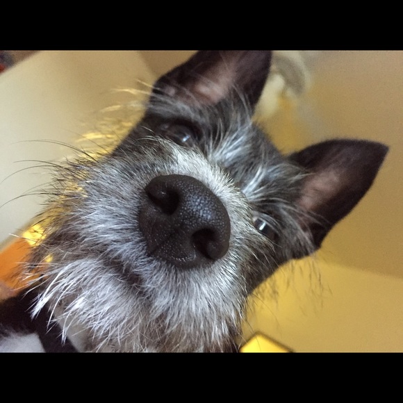 Profile Picture of Alec Holt (@alecholt94) on Poshmark