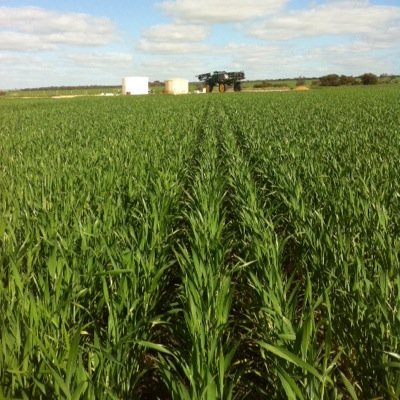 Profile Picture of Brendon Williamson (@morellafarms1) on Twitter