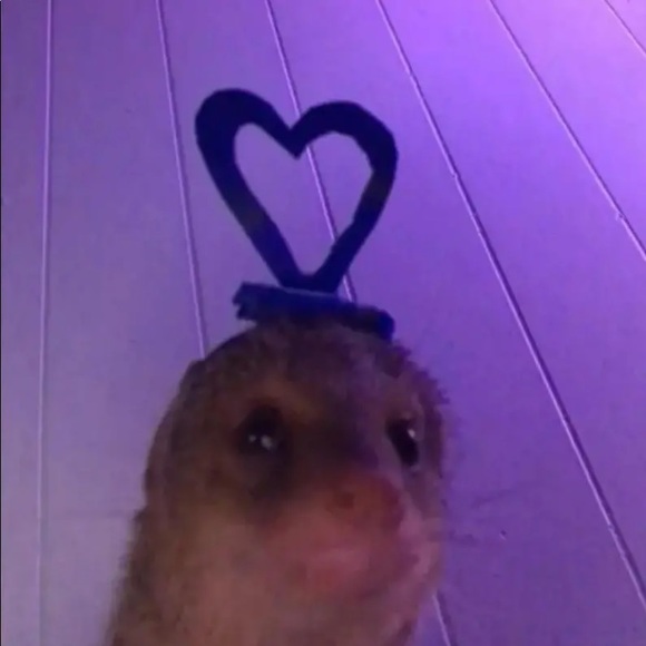 Profile Picture of Kenzie Malatt (@royalkenzie) on Poshmark