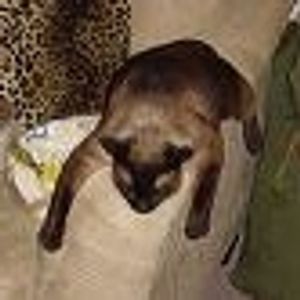 Profile Picture of Patrick Oleary (@pjol79) on Myspace