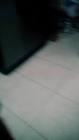 Profile Picture of   TikTok de ian rocha... (@ianrocha02) on Tiktok