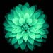 Profile Picture of Jodi Barrera (@jbarrera2252) on Pinterest