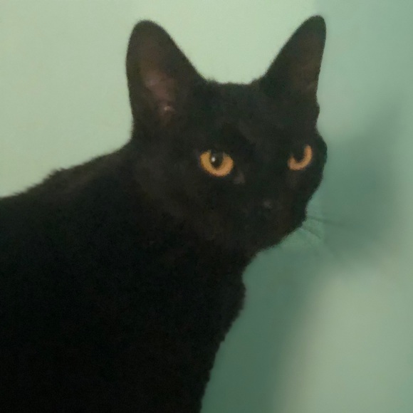 Profile Picture of Joseph Wagner (@12542375) on Poshmark