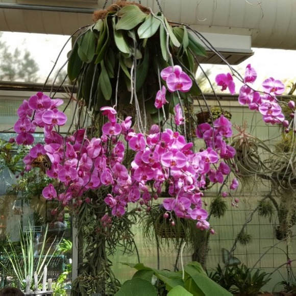 Profile Picture of Sherry Whetten (@wet10) on Poshmark